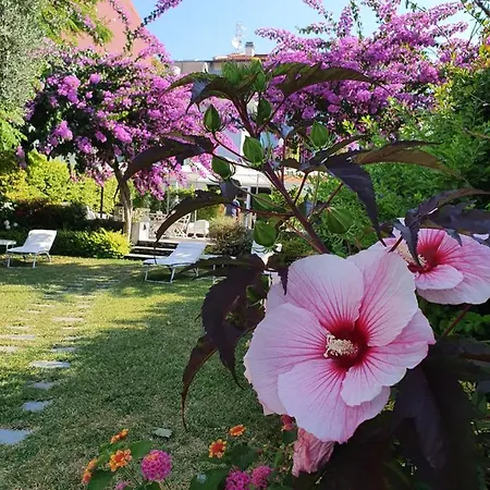 ホテル Blu ラヴァーニャ